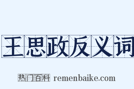 王思政反义词是什么意思的图片